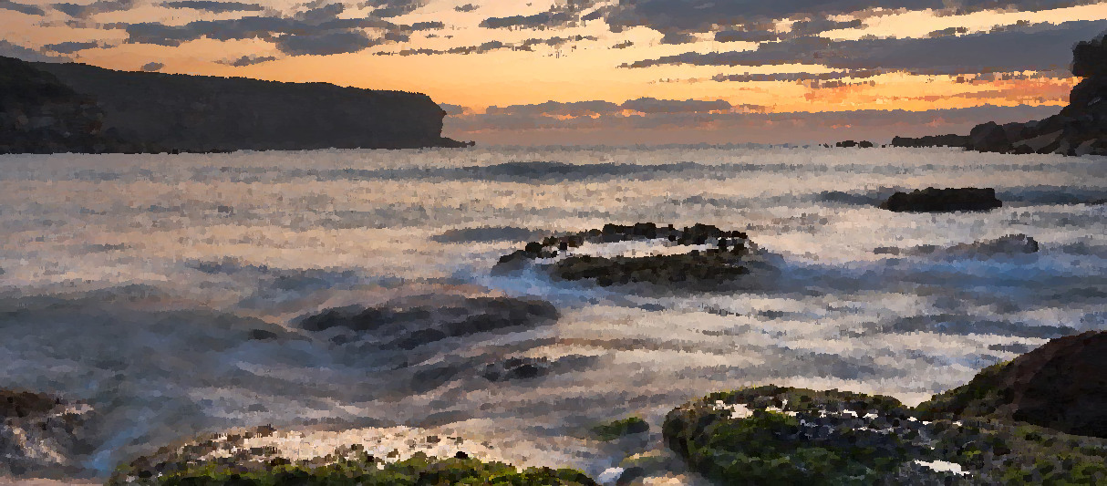 Royal National Park - Sydney, New South Wales